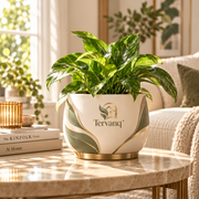 TERVANQ™ PivotRing Stem Vase